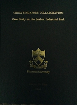 PRINCETON UNIVERSITY THESIS